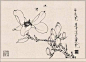 工笔画-白描花卉，王道中