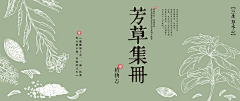 阿娟喜欢薄荷绿采集到文创