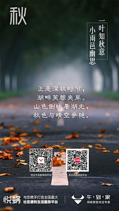 Yin银河里Li采集到美图♢杂货铺