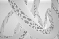 Biomorphic Background 17