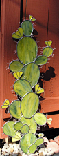 Cactus in Stained Glass Yard Stake Home by SerendipityGlassWrks, $85.00