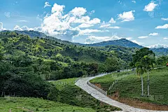 山路，热带景观，棕榈树，天空景观，阳光透过云层，多米尼加共和国