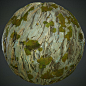 Stylized Bark