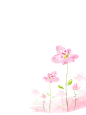 花卉 (1292)