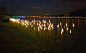 尖头亚克力芦苇灯 LED景观灯芦苇公园草地草坪市政亮化装饰景观灯-淘宝网