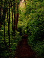 通路，魔法森林
Pathway, The Enchanted Wood