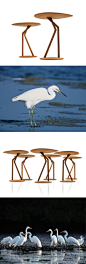 “师法自然”？家具设计也可以！Alessandro loschiavo设计的“marabu”边桌灵感来自白鹭的形态。http://t.cn/hrmF63