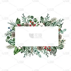 水彩圣诞框架与冷杉枝，松果，棉花，树叶孤立的白色背景。植物冬季绿色节日插图为婚礼请柬设计