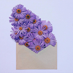 点歌爱吃采集到花