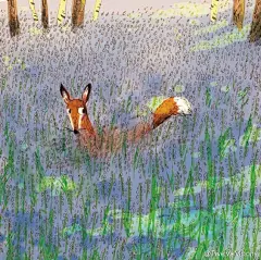 Rebecca Cobb 是一位插画家，同时也是作家。她成长于英国的白金汉郡和萨默塞特郡，在她的生活里她总是被彩铅、马克笔、蜡笔、以及各种颜料和纸张海报包围着。她在法尔茅斯的艺术学院学习了插图艺术，毕业之后也定居在那儿成为了一个插画家……更多内容请点击链接→ORebecca Cobb