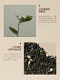 奈雪茶院绿罐茶全新上市，快来喝茶！_3_奈雪的茶_来自小红书网页版