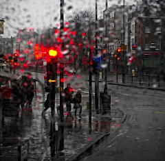 叶凉笙采集到我的雨天