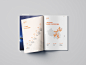 Behance 上的 宣传画册