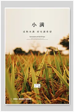 小满二十四节气精致宣传借势海报