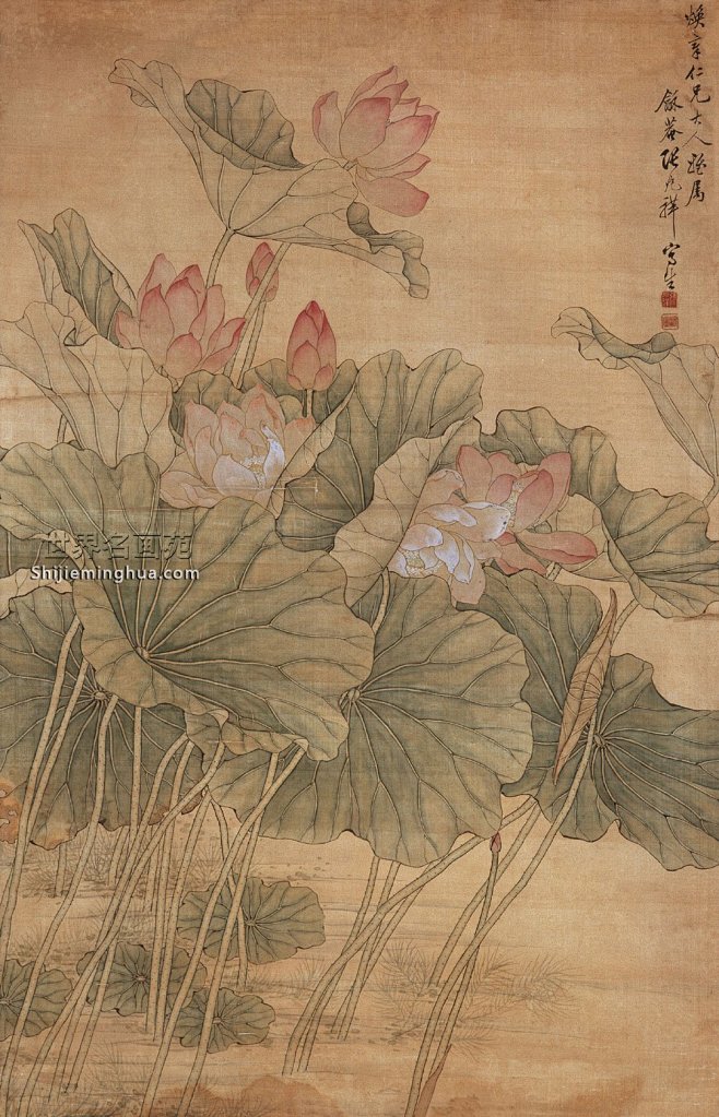 张兆祥  本固枝连