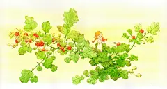拇指姑娘-可乐狗__涂鸦王国插画