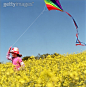 农业,休闲活动,摄影,Y50701,头状花序_3469-000043a_Girl Flying Kite in Field_创意图片_Getty Images China