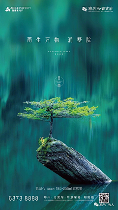 柯桂采集到节气节日海报