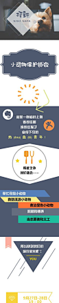 单页长图文设计制作_MAKA做单页网站