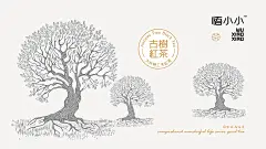 采集图片