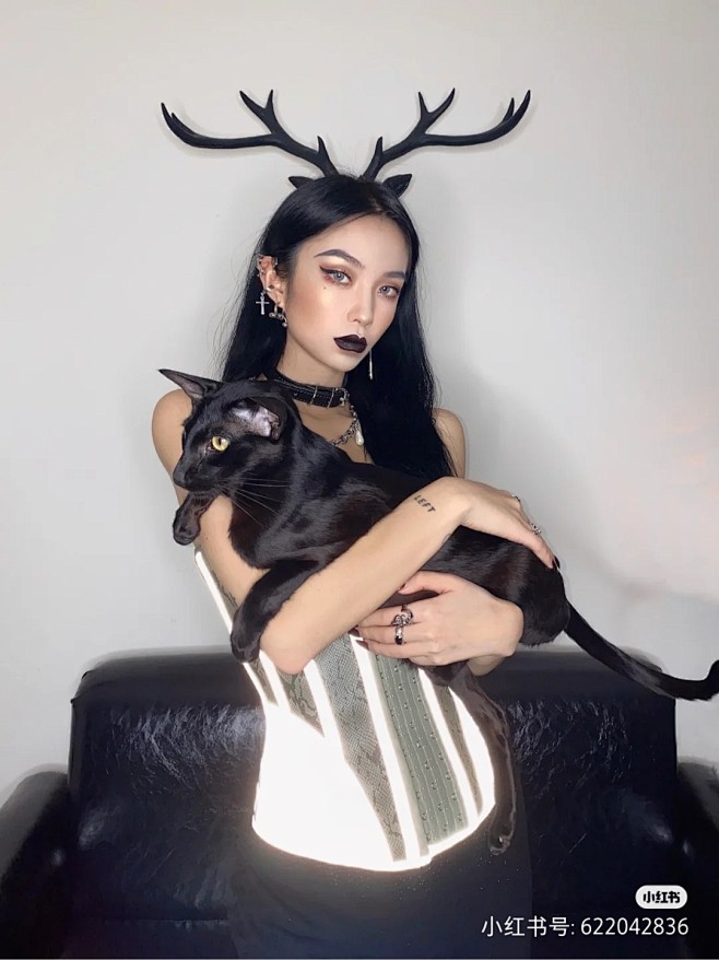 抱猫2