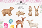 手绘水彩春天主题花卉动物元素 Spring-Flower-and-Animal-graphic-set :  