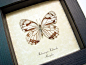 Melanargia Halimede | Real Butterfly Gifts Framed Butterflies and Insect Displays