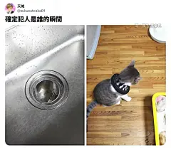 来自相册