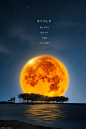 中式中国风传统古典星空中秋节月亮夜晚海边PSD分层设计素材