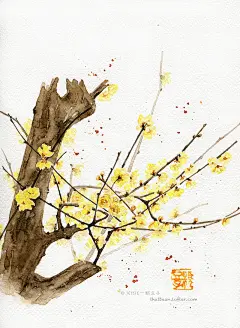 腊梅 #水彩# #插画# #花卉# #小清新#