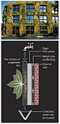 Going Vertical: The History of Green Walls http://landarchs.com/vertical/: 