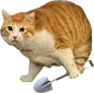 38