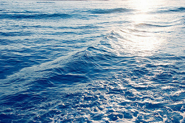生命的海，情感的海 ⑩ ——海之水，海之...