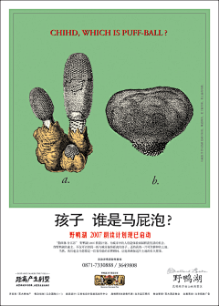 向死而生2采集到地产经典广告