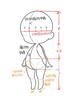 白折郡采集到Q版人体结构