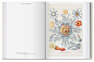 【Taschen40周年纪念版】Ernst Haeckel，恩斯特·海克尔 自然生物插画绘画-tmall.com天猫