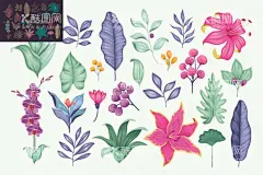 花卉 矢量花  - 源文件下载【酷图网】花卉,矢量花,花朵,红蓝玫瑰,月季,北欧风格元素,绿叶植物,贺卡,花草,花卉植物,鲜花,