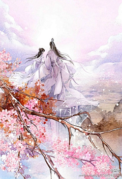 壹卿一采集到梅花三弄弄满天