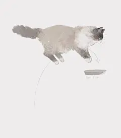 一组猫咪插画 | 日本插画师 ねこ助|插画师|插画|猫咪_新浪网