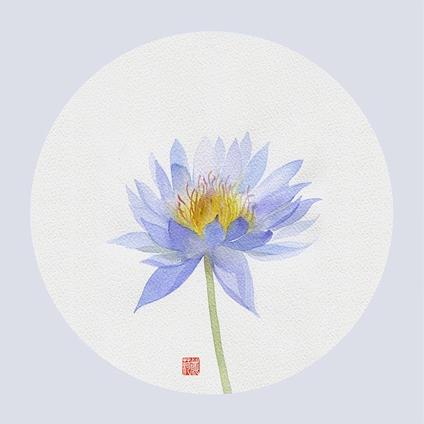 【知名水彩插画家鹿菏的作品】