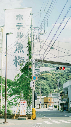 ♪＿岁雾青语采集到荔枝