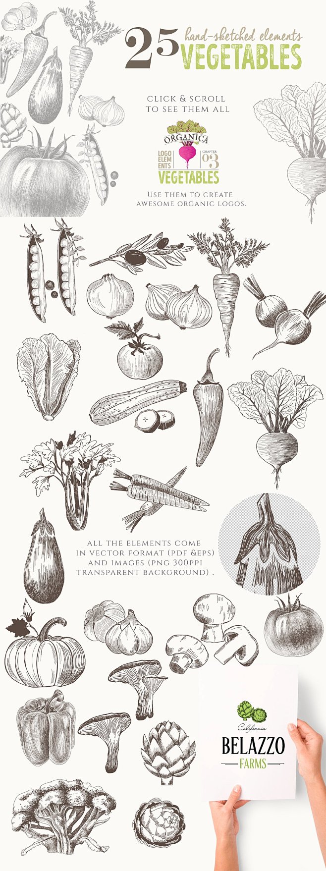 萝卜手绘线稿水果蔬菜餐厅菜单元素海报 A...