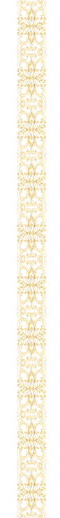 aa919eebcabf5b5fe4a1830ea6e661f17263f912506f1-hLliLo_fw658webp