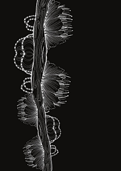 秒速收起来采集到插画
