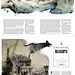 优秀画册排版设计 [58P] (46).jpg