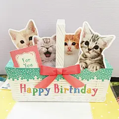 日本购回 一篮猫咪生日音乐3D贺卡 可爱萌猫祝福女友闺密同事卡片-淘宝网