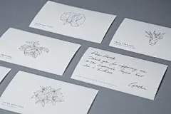 Fresh Gratitude 花卉插画设计-古田路9号-品牌创意/版权保护平台