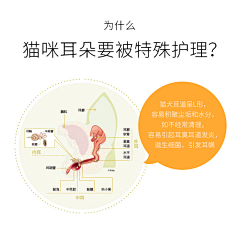 空城一场旧梦采集到宠物洗护