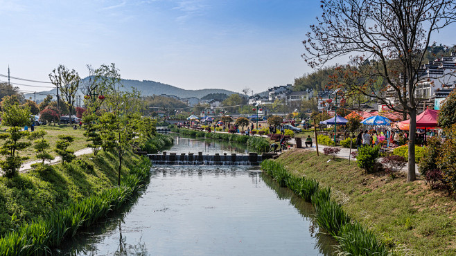 美丽乡村石塘竹海—石塘村（二）