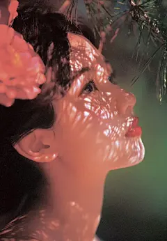 摄影_摄影图片 - 高清图片，堆糖，美图壁纸兴趣社区